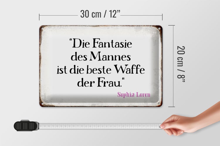 Blechschild Spruch 30x20cm Fantasie des Mannes beste Waffe