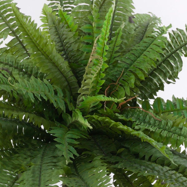 Künstliche Farnpflanze mit dichten grünen Wedeln aus der Vogelperspektive.