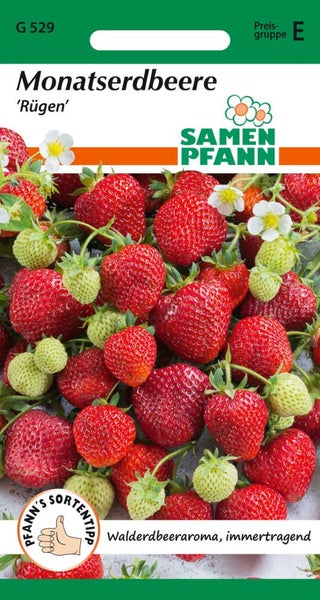 Samenpackung Monatserdbeere Rügen von Samen Pfann