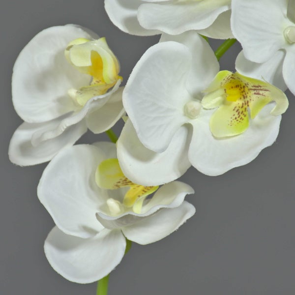 Künstliche weiße Orchidee Phalaenopsis in der Nahaufnahme am grünen Stiel.