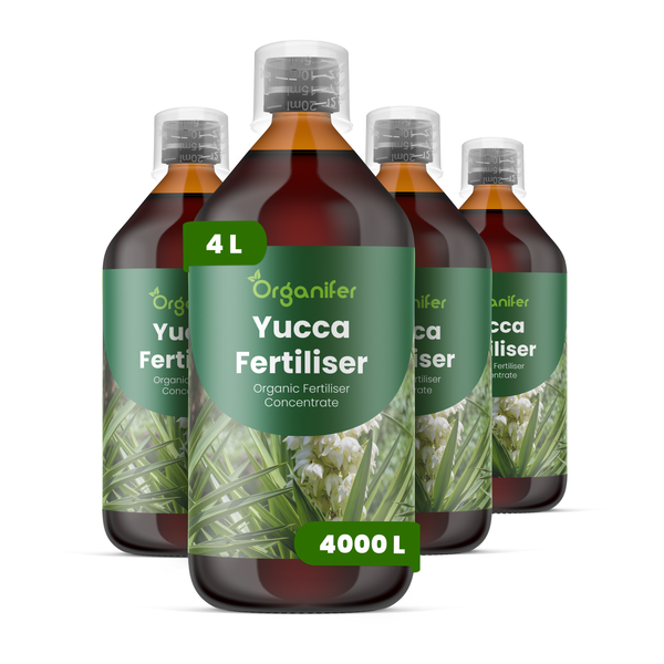 Organifer Yucca Flüssigdünger Konzentrat, 4 Liter Set bestehend aus vier Flaschen, inklusive Messbecher.
