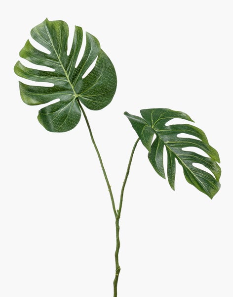 Künstliches Monstera-Blatt am Stiel mit zwei großen grünen Blättern.