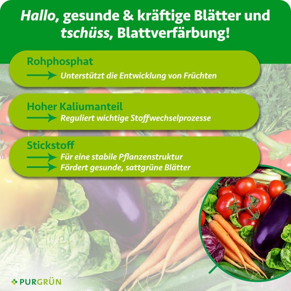 Infografik von Purgrün zu Düngerinhaltsstoffen: Rohphosphat für Früchte, Kalium für Stoffwechsel und Stickstoff für Blattgrün und Pflanzenstruktur.