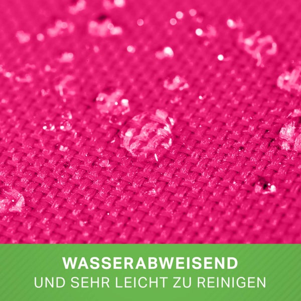 Nahaufnahme einer Aster mit rosa und weissen Blüten