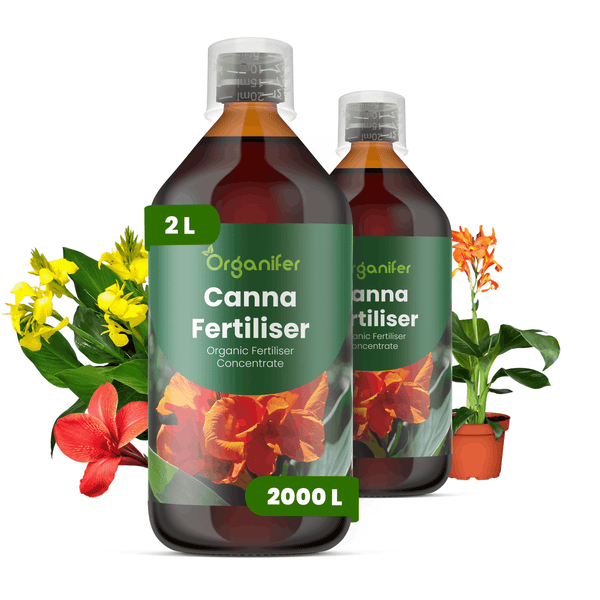 Zwei 2-Liter-Flaschen Organifer Canna Dünger, organisches Flüssigdünger-Konzentrat für 2000 Liter, mit Canna-Blüten und Pflanze.