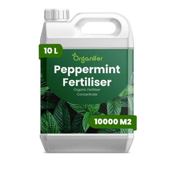 Organifer Pfefferminz-Dünger, organisches Düngerkonzentrat, 10 Liter Kanister für 10000 Quadratmeter.