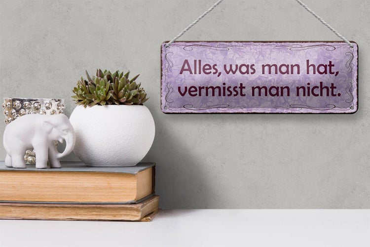 Blechschild Spruch 27x10cm alles was man hat vermisst nicht Dekoration