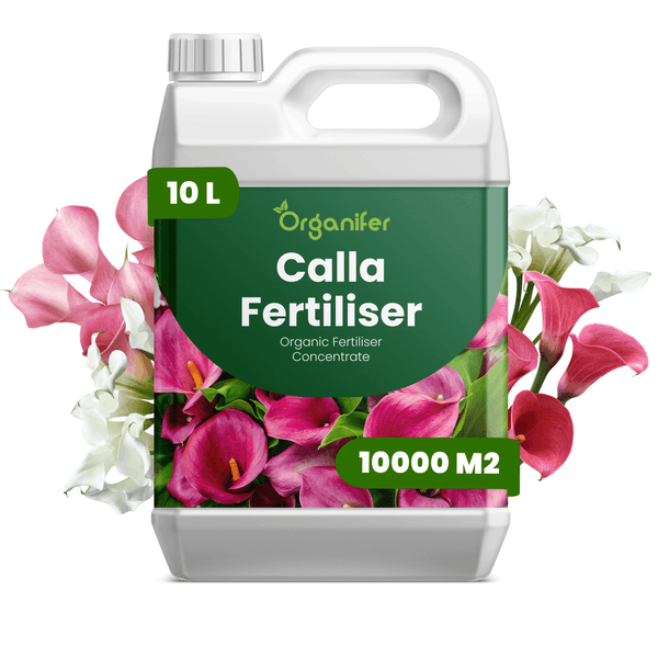 Organifer Calla Dünger, organisches Düngerkonzentrat im 10 Liter Kanister, ausreichend für 10000 Quadratmeter.