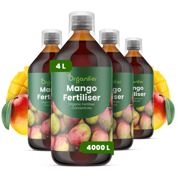Organifer Mango Dünger, organisches Düngerkonzentrat, 4 Liter, ergibt 4000 Liter.