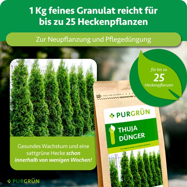 Purgrün Logo. Purgrün Thuja Dünger, 1 Kilogramm feines Granulat für 25 Heckenpflanzen, zur Neupflanzung und Pflegedüngung für gesundes Wachstum.