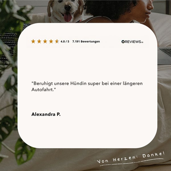 ALPHAZOO Seelenruhe Beruhigungsspray 200ml für Hunde I Beruhigungsmittel mit Baldrian