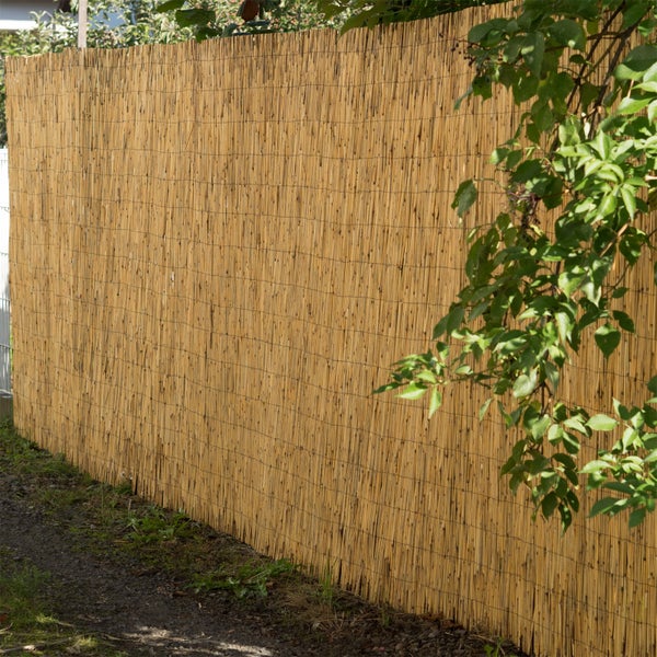 Sichtschutzmatte Aroa  60x160 cm, Schilfrohr naturfarben