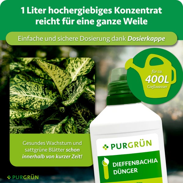 Purgrün Dieffenbachia Dünger Konzentrat 1 Liter Flasche mit Dosierkappe für 400 Liter Gießwasser für gesundes Pflanzenwachstum.