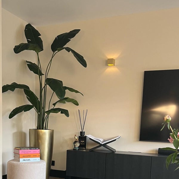 Innenraum mit einer Zimmerpflanze, einer Wandleuchte und einem schwarzen Sideboard