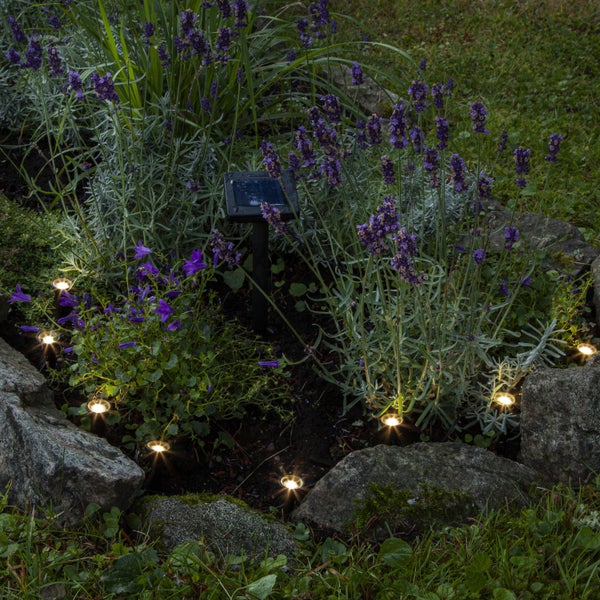 Garten mit Lavendel, Glockenblumen und LED-Leuchten