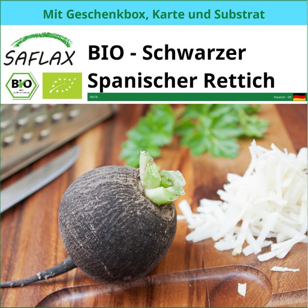 SAFLAX Geschenk Set - BIO - Schwarzer Spanischer Rettich - Raphanus sativus - 100 Samen - Mit Geschenkbox, Versandaufkleber, Geschenkkarte und Anzuchtsubstrat