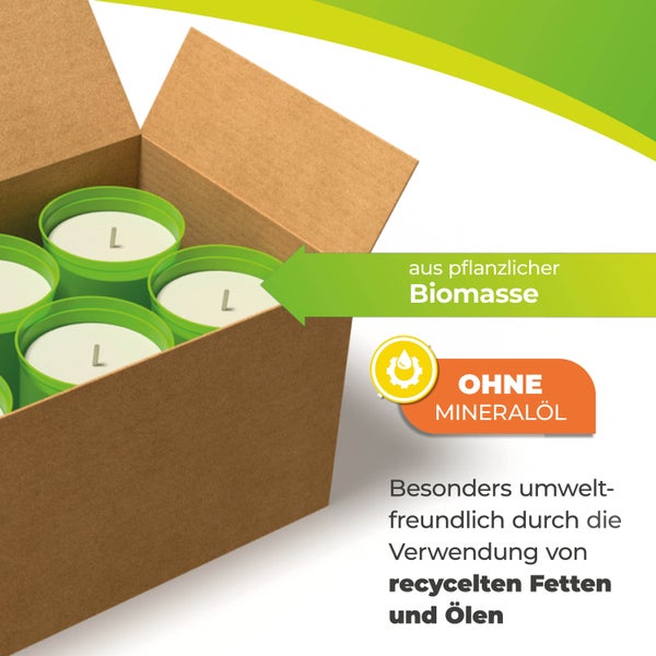 6er-Set ökologische Kerzen aus REWAX-Biomasse für Frostwächter FireFly