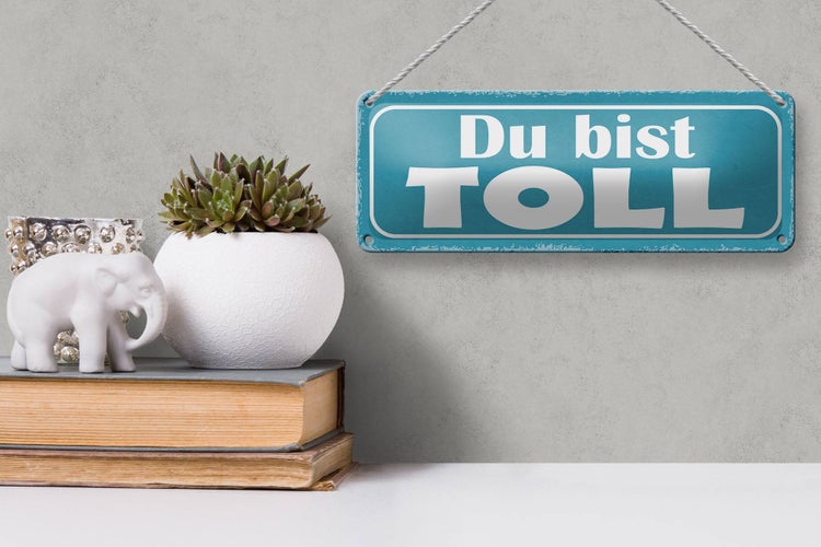 Blechschild Spruch 27x10cm Du bist toll Dekoration