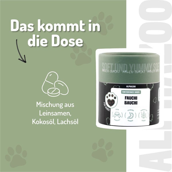 Darstellung von Leinöl, Kokosnuss und Leinsamen für die Verdauung