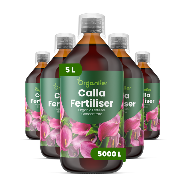 Vergleich Organifer Phalaenopsis Dünger mit anderen. Vorteile: langanhaltende Blüten, gesunde Wurzeln und vinassefreie Formel. Organifer Logo.