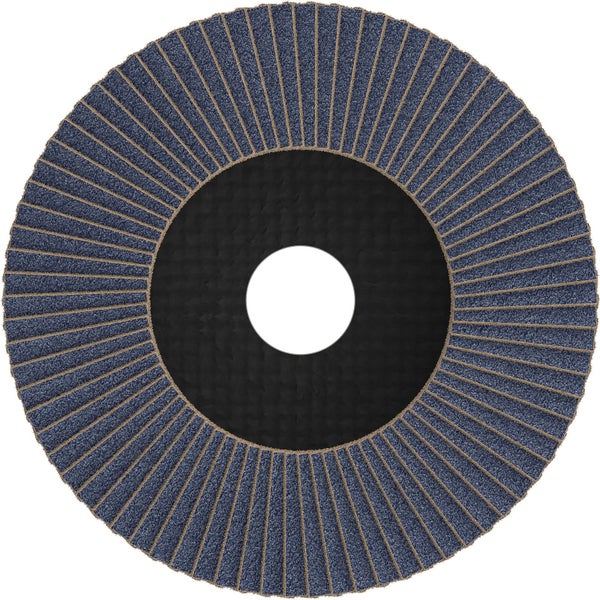 Lamellenschleifscheibe