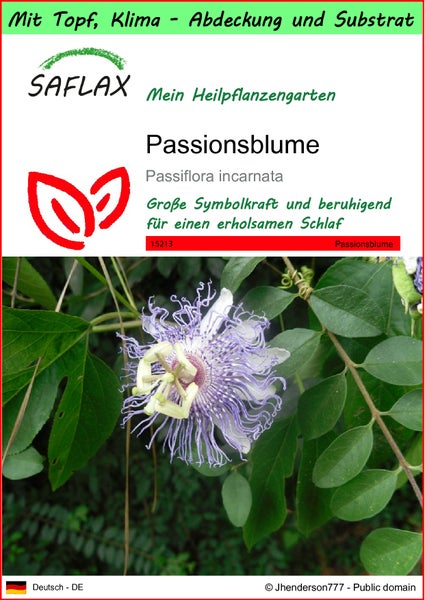 SAFLAX Garden to go - Passionsblume - Passiflora incarnata - 5 Samen - Mit Topf, Klima - Deckel und Anzuchtsubstrat