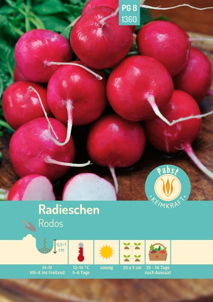 Rückseite der Saatgutpackung für Liebstöckel Maggikraut von Carl Pabst mit Informationen zu Aussaat, Pflege und Ernte.