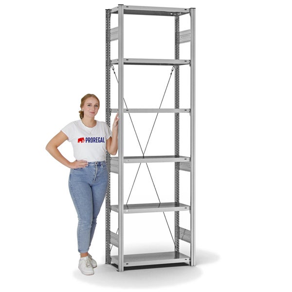 PROREGAL Fachbodenregal Stecksystem T-Profil Heavy-Duty Grundregal HxBxT 250 x 75 x 30 cm 6 Ebenen Fachlast 300 kg Einseitig Nutzbar Verzinkt