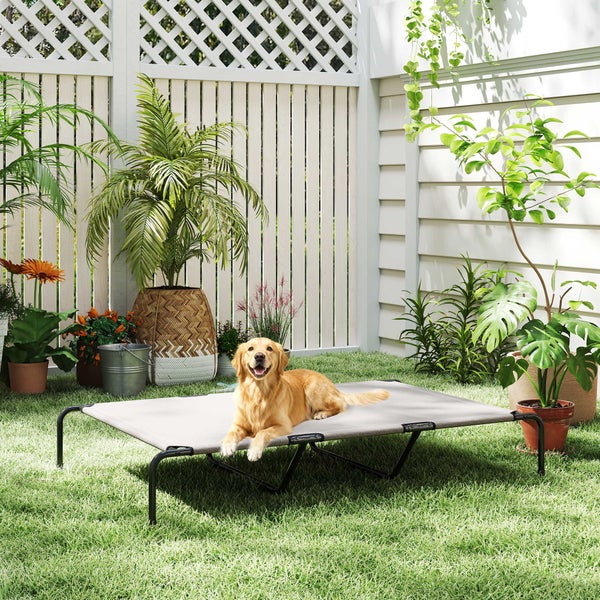 Goldener Retriever auf einem erhöhten Hundebett mit schwarzem Metallgestell im Garten auf dem Rasen vor einem Sichtschutzzaun.
