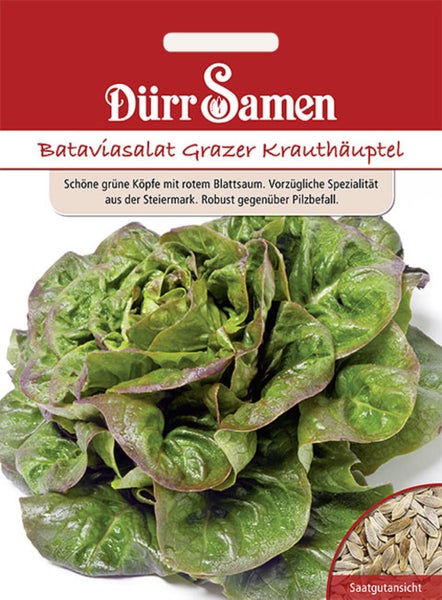 Samentüte für Bataviasalat Grazer Krauthäuptel mit Dürr Samen Logo, Abbildung eines Salatkopfs und Detailansicht der Samen.