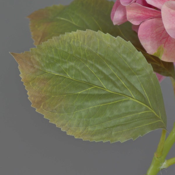 Detailaufnahme eines grünen Blattes und einer rosa Blüte einer künstlichen Hortensie.