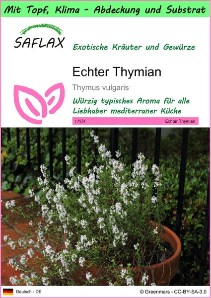 SAFLAX Garden to go - Echter Thymian - Thymus vulgaris - 200 Samen - Mit Topf, Klima - Deckel und Anzuchtsubstrat