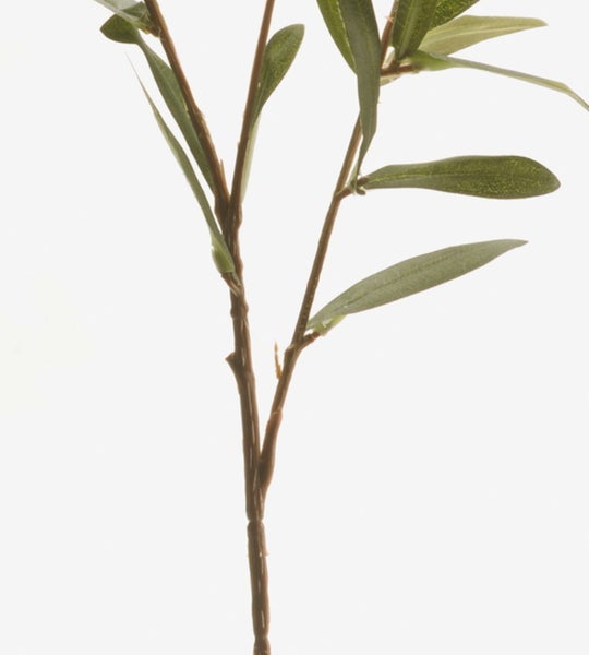 Künstlicher Olivenzweig mit braunem Stiel und grünen Blättern.