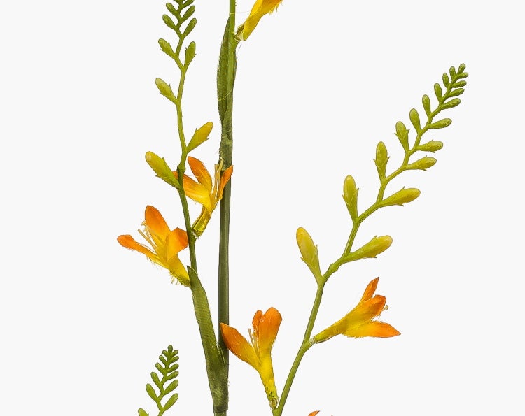 Künstlicher Crocosmia-Zweig mit orangefarbenen Blüten und grünen Knospen für die Innendekoration.