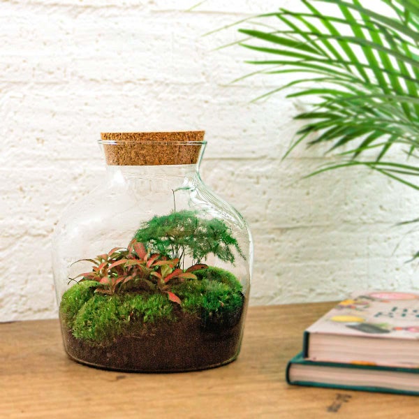 Flaschengarten Little Joe - DIY-Pflanzenterrarium - 21,5 cm - incl. Rechen und Schaufel