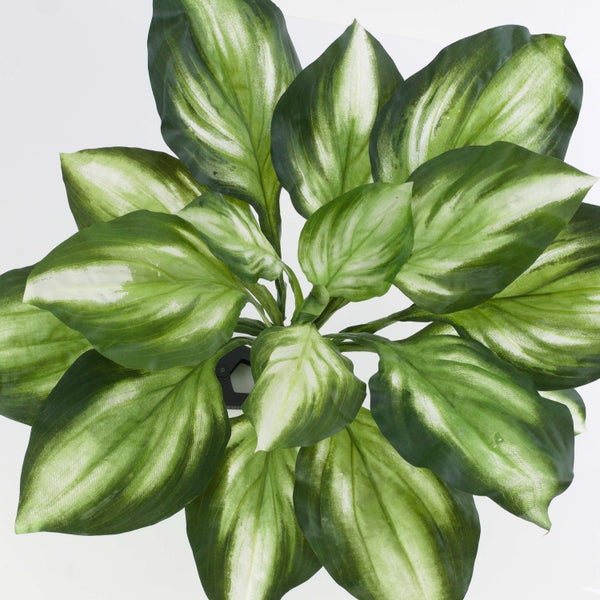 Künstliche Hosta-Pflanze mit grün-weiß panaschierten Blättern in der Draufsicht.
