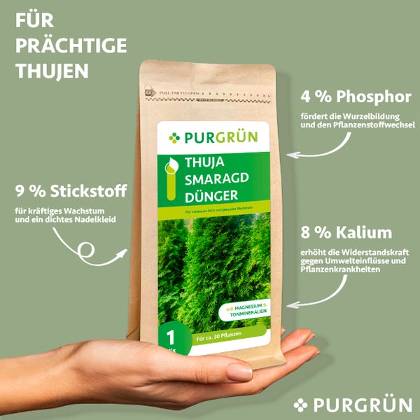Purgrün Thuja-Smaragd-Dünger 1 kg