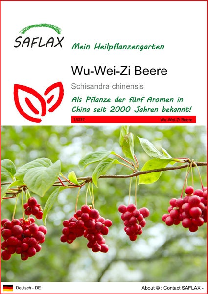 SAFLAX  - Wu-Wei-Zi Beere - Schisandra chinensis - 15 Samen