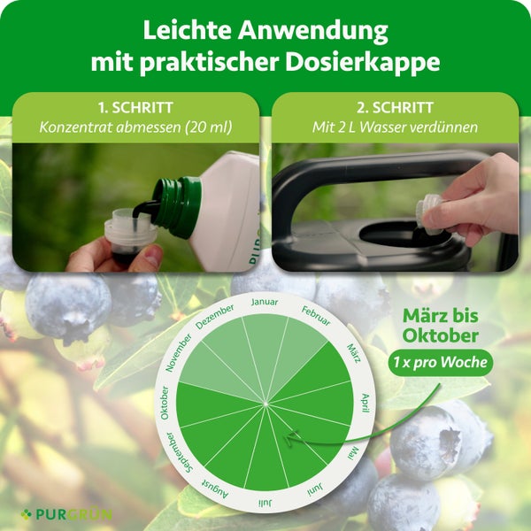 Anleitung Düngeranwendung: 20 Milliliter abmessen, mit 2 Liter Wasser verdünnen, Anwendung von März bis Oktober wöchentlich. PURGRÜN Logo.