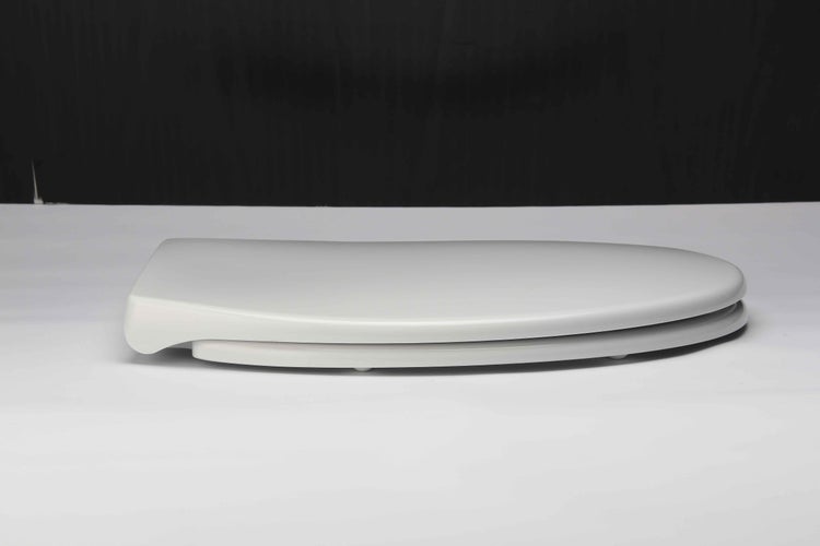 Toilettendeckel aus Kunststoff