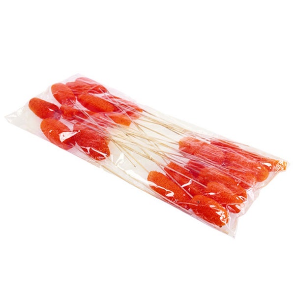 Verpackung mit getrockneten Lagurus-Gräsern