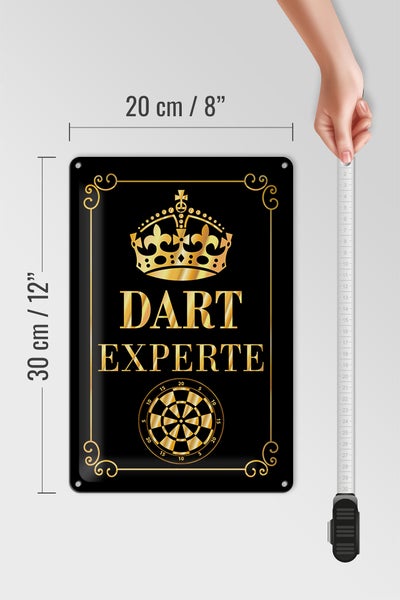 Blechschild Spruch 20x30cm Dart Experte Krone