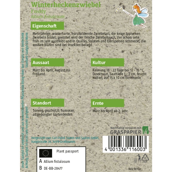 Winterheckenzwiebel Freddy Samen von Grüne Fee