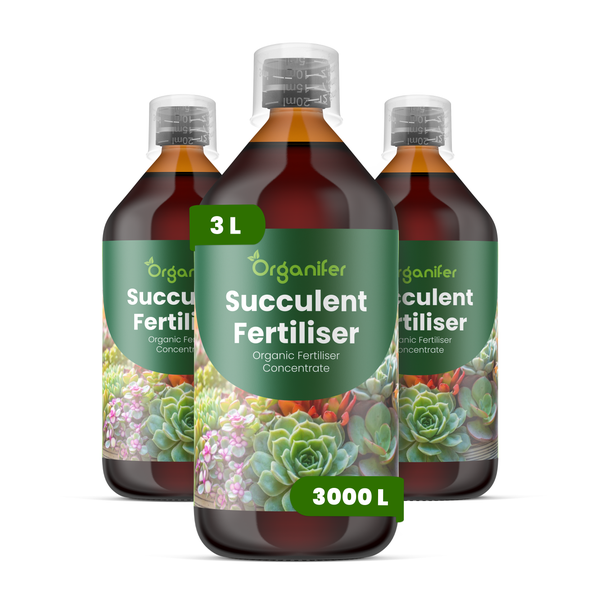 Organifer Sukkulentendünger Konzentrat, organischer Flüssigdünger, 5 Liter Set.
