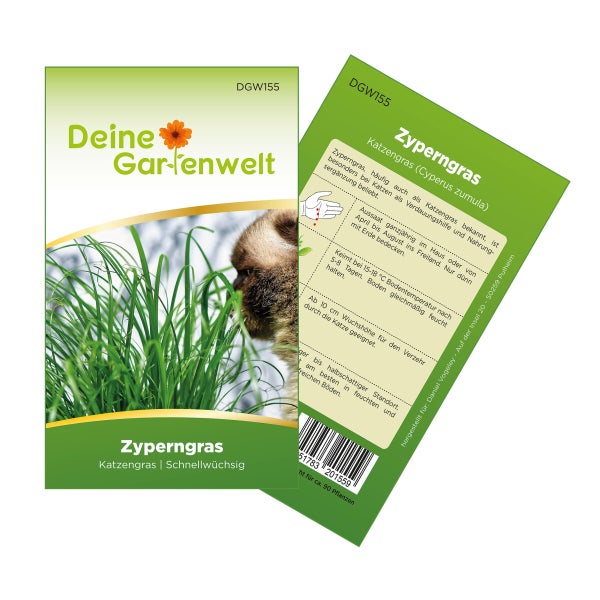 Zyperngras Samen von Deine Gartenwelt