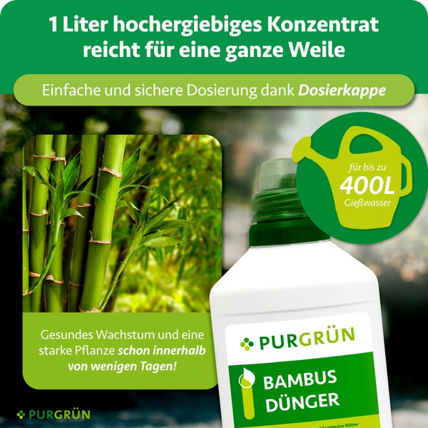 Purgrün Logo. Purgrün Bambus Dünger Konzentrat 1 Liter für bis zu 400 Liter Gießwasser, mit Dosierkappe für gesundes Pflanzenwachstum.