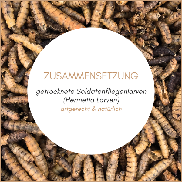 Getrocknete Soldatenfliegenlarven als Futter, eine natürliche Proteinquelle für Tiere.