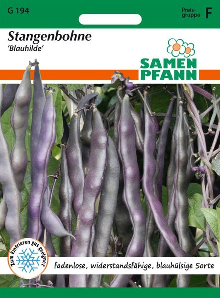 Samen Pfann Stangenbohne 'Blauhilde'