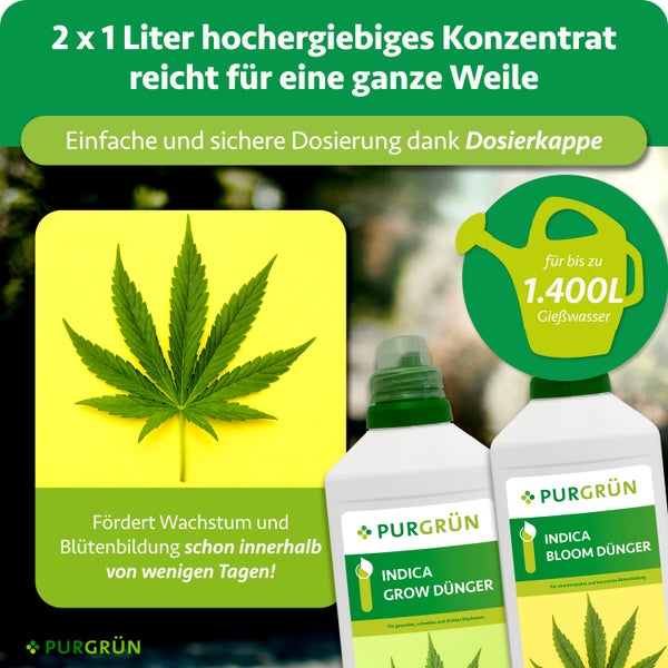Zwei 1 Liter Flaschen Purgrün Indica Grow und Bloom Dünger Konzentrat mit Dosierkappe, reicht für bis zu 1400 Liter Gießwasser.