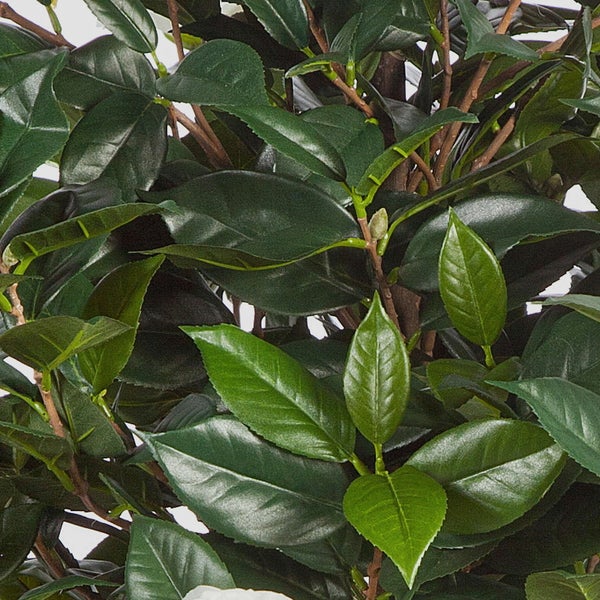 Nahaufnahme der Stämme einer künstlichen Pflanze in einem schwarzen Topf.